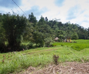 dasavayu-retreat-image-100