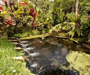 dasavayu-retreat-image-105