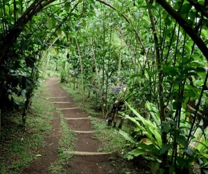 dasavayu-retreat-image-144