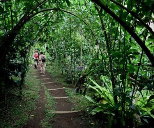 dasavayu-retreat-image-143